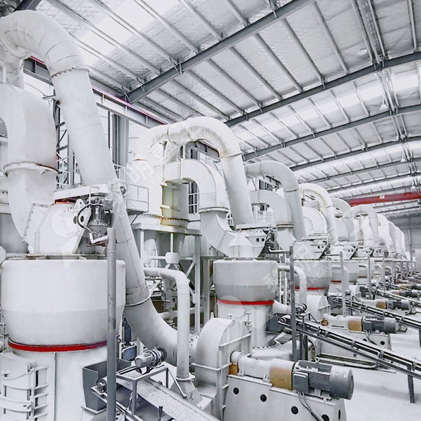 Layout diagram of the complete 5R4119 Raymond Mill grinding system showing crusher, feeder, mill, and dust collector