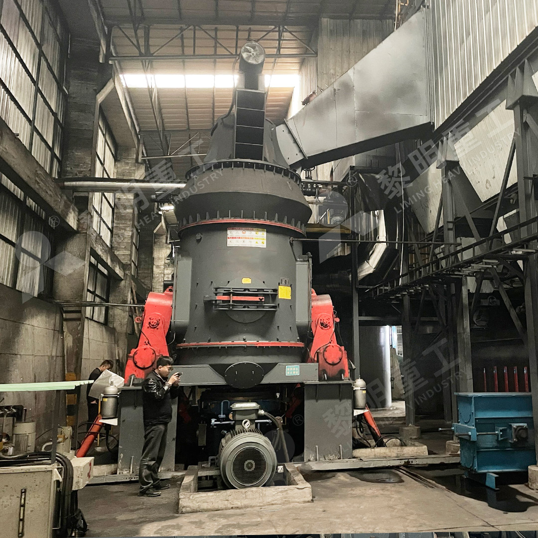 LM Vertical Roller Mill installed in an industrial plant, showing its compact structure and conveyor system.