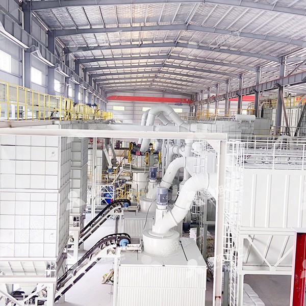 Ultrafine grinding mill for 2500 mesh MW Micro Powder Mill